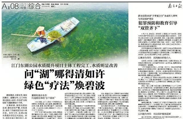 《南方日?qǐng)?bào)》江門(mén)東湖公園：?jiǎn)枴昂蹦牡们迦缭S 綠色“療法”煥碧波